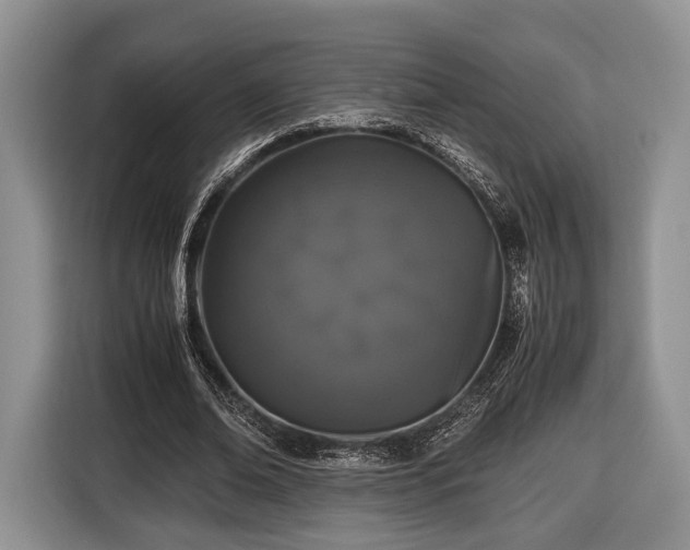 X0000116440678200912151240