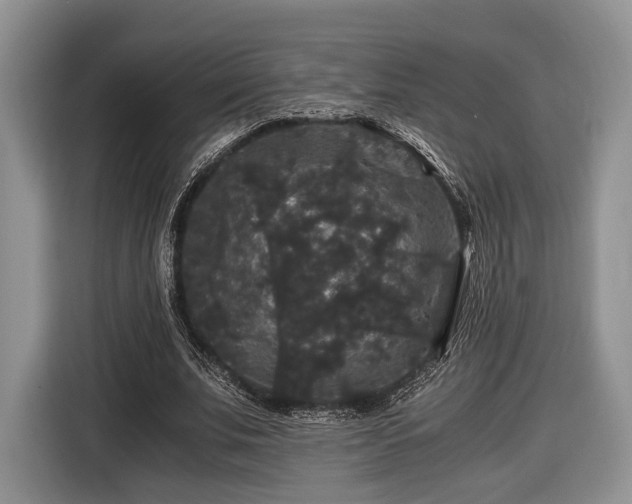 X0000116440679200912151240
