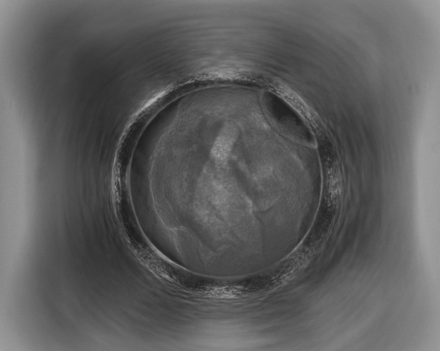 X0000116440680200912151240