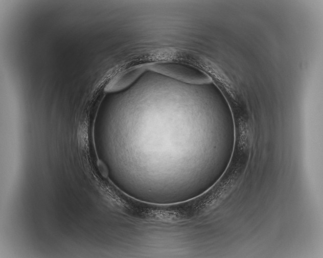 X0000116440681200912151240