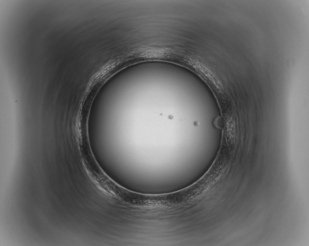 X0000116440682200912151240
