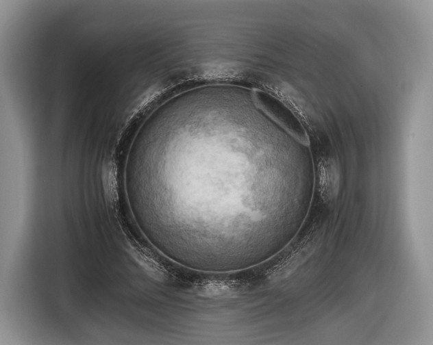 X0000116440684200912151240
