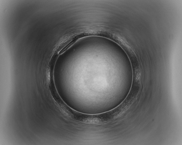 X0000116440685200912151240