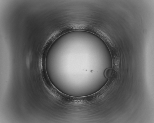 X0000116440686200912151240