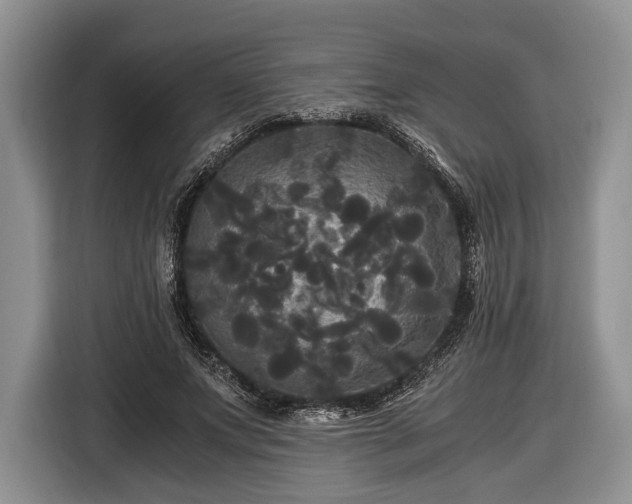 X0000116440687200912151240