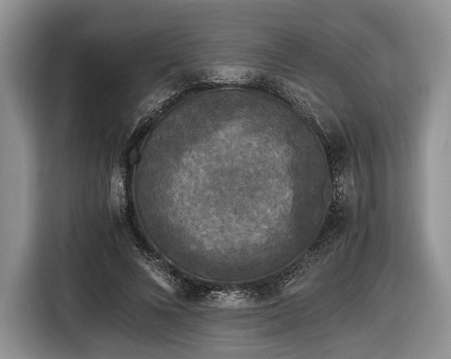 X0000116440688200912151240