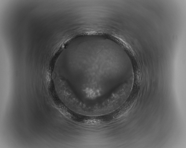 X0000116440691200912151240