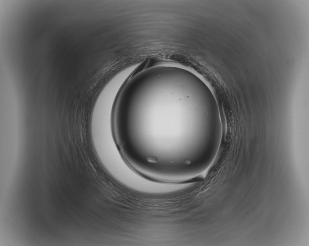 X0000116440693200912151240