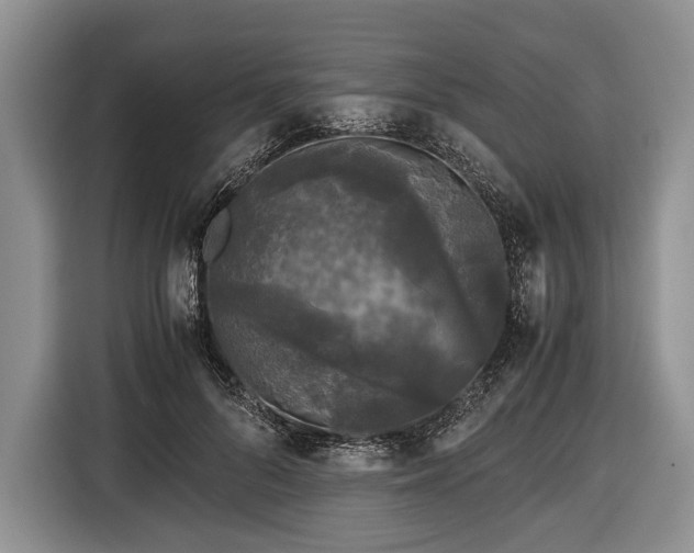 X0000116440696200912151240