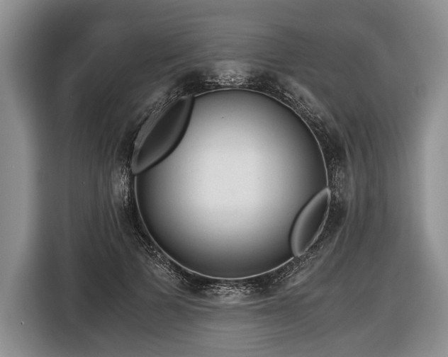 X0000116440697200912151240