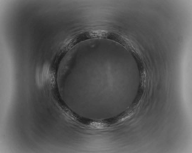 X0000116440699200912151240