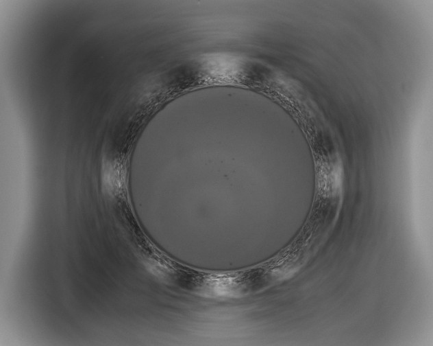 X0000116440701200912151240