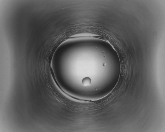X0000116440704200912151240