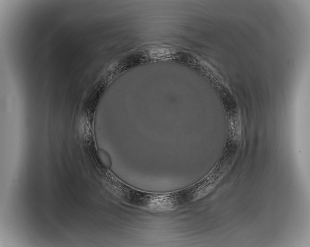 X0000116440705200912151240