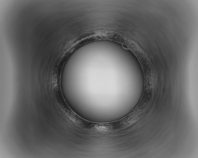 X0000116440706200912151240
