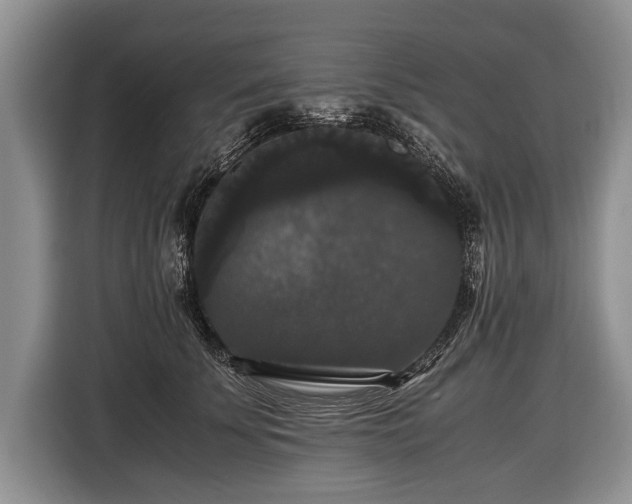 X0000116440707200912151240