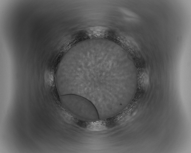 X0000116440709200912151240
