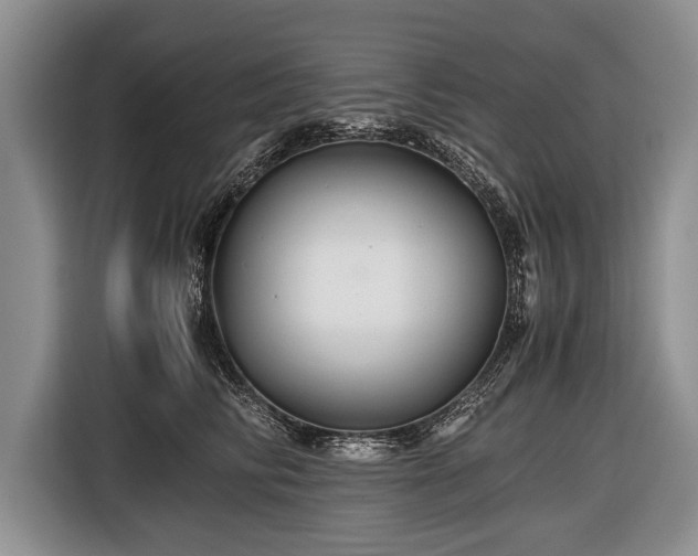 X0000116440710200912151240
