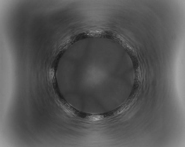 X0000116440711200912151240