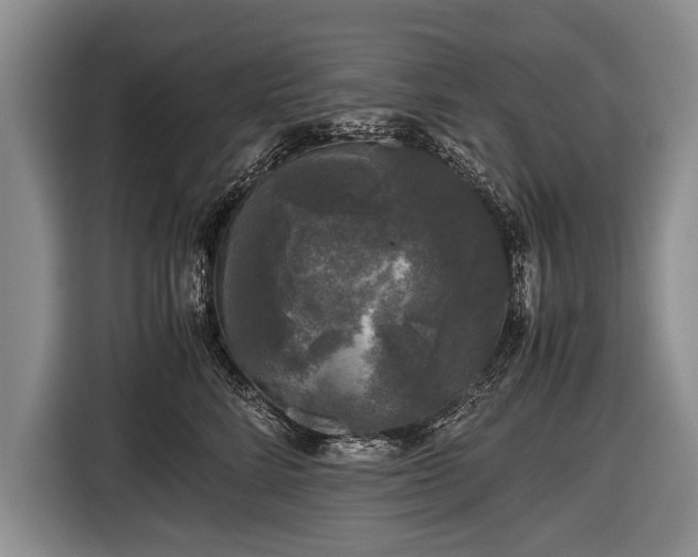 X0000116440712200912151240