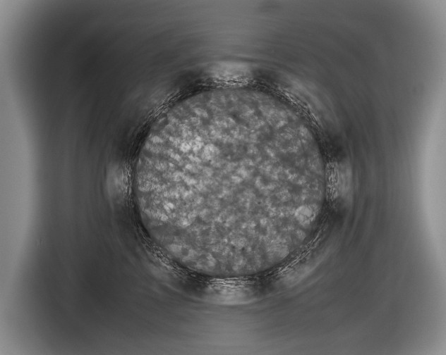 X0000116440713200912151240