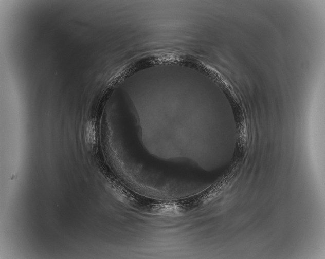 X0000116440715200912151240