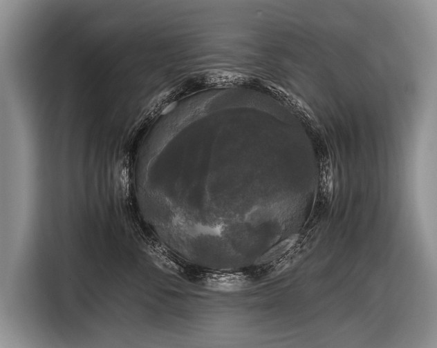 X0000116440716200912151240