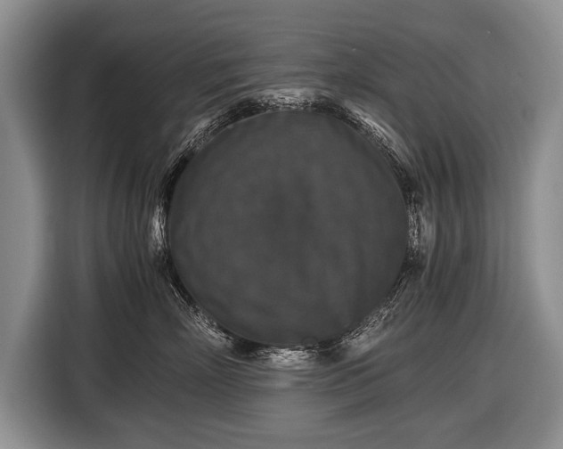 X0000116440718200912151240