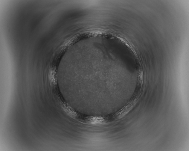 X0000116440719200912151240