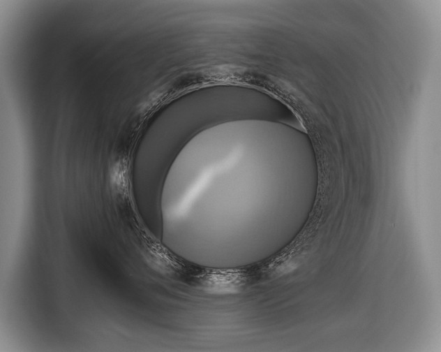 X0000116440720200912151240