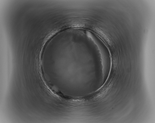 X0000116440721200912151239