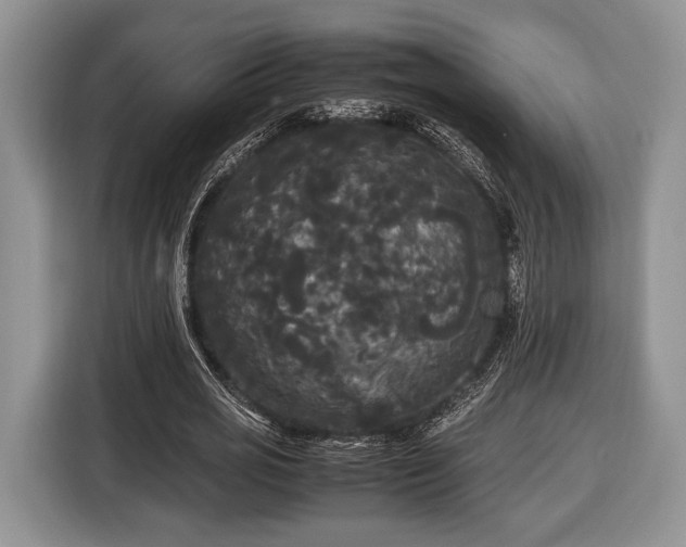 X0000116440725200912151239