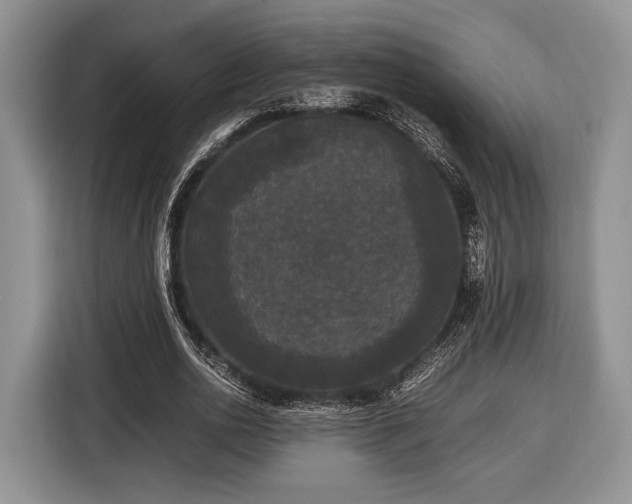 X0000116440726200912151239