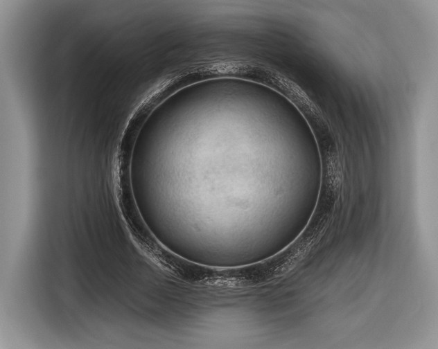 X0000116440730200912151239