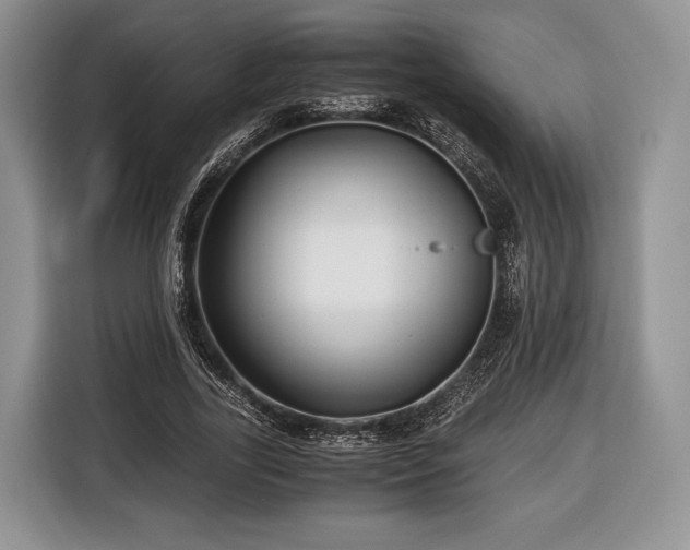 X0000116440731200912151239