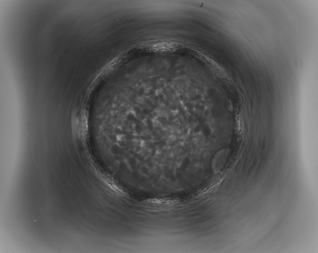 X0000116440733200912151239