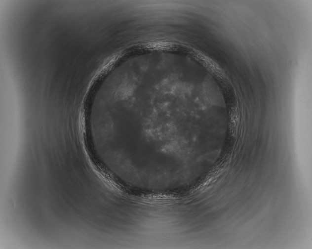 X0000116440734200912151239