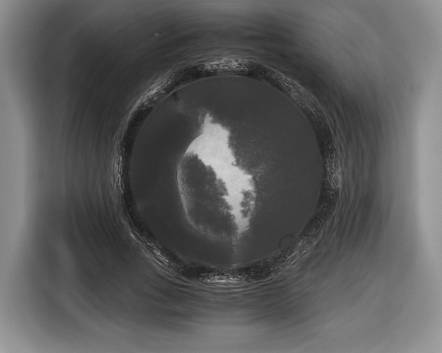 X0000116440735200912151239