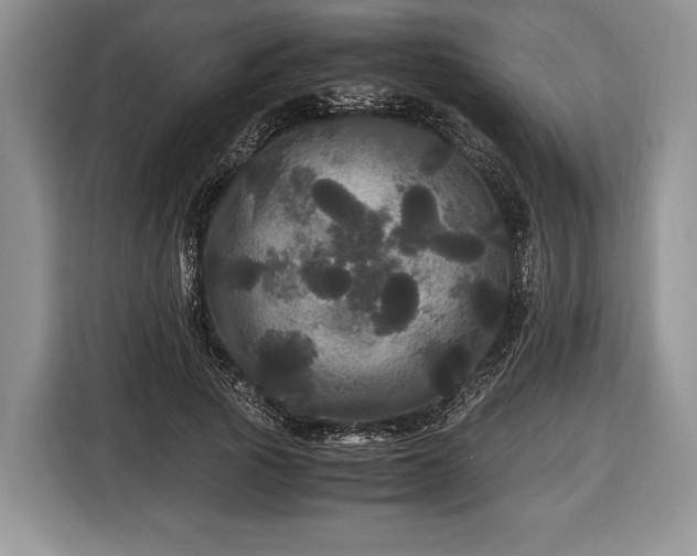 X0000116440737200912151239