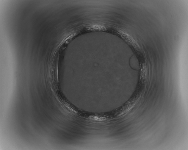 X0000116440739200912151240