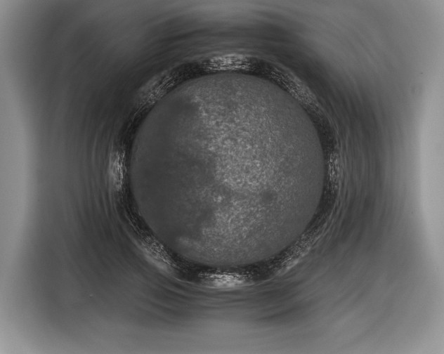 X0000116440741200912151240