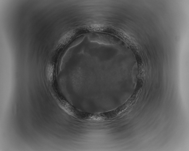 X0000116440742200912151240