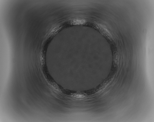 X0000116440743200912151240