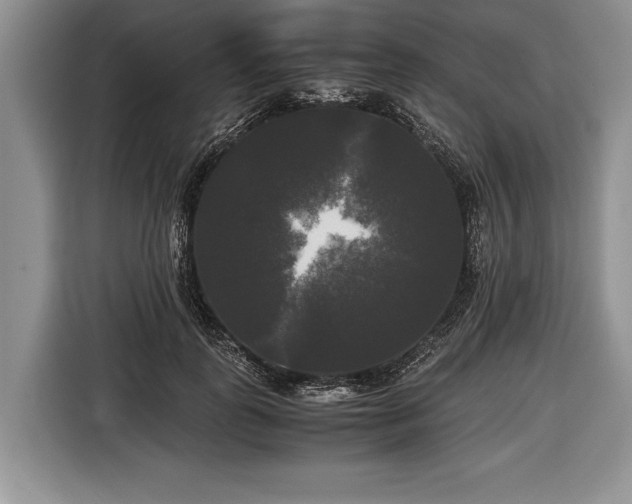 X0000116440747200912151240