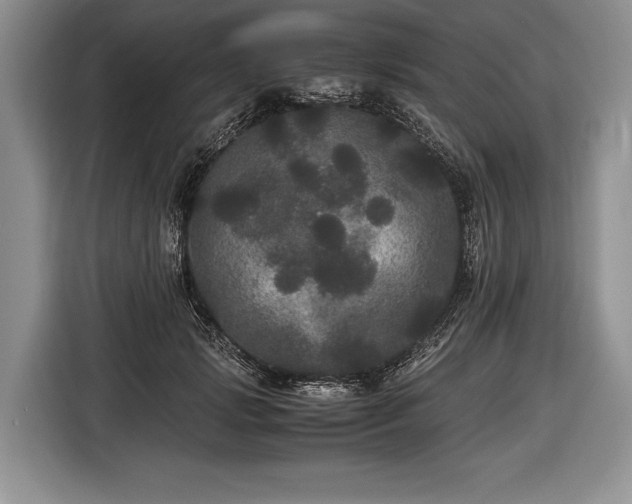 X0000116440749200912151240