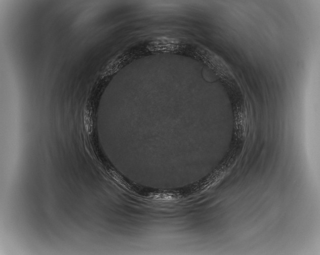 X0000116440751200912151240