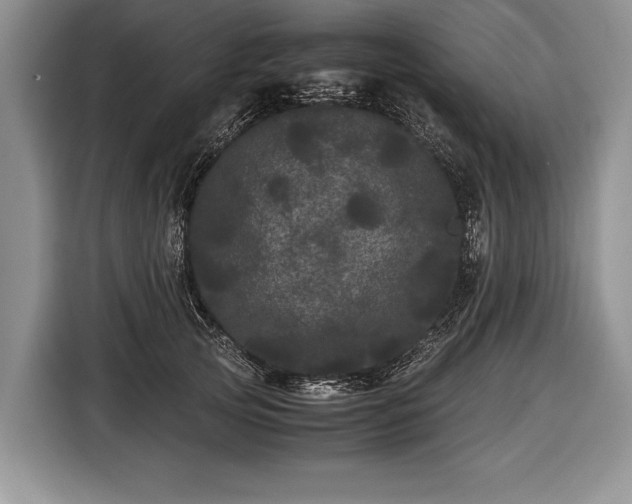 X0000116440753200912151240