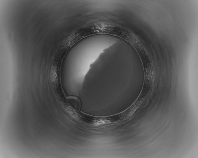 X0000116440754200912151240