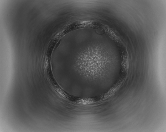 X0000116440758200912151240