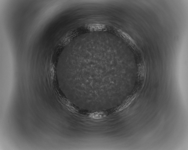 X0000116440761200912151240